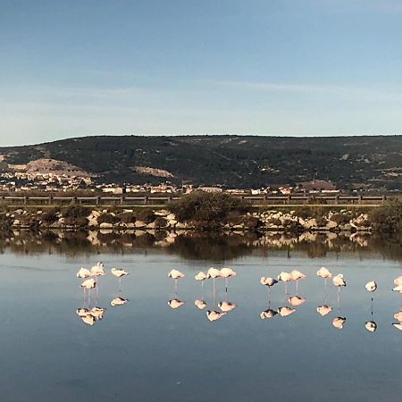 Flamants Roses 1 Pers 6 فرونتينيان المظهر الخارجي الصورة